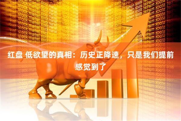 红盘 低欲望的真相：历史正降速，只是我们提前感觉到了